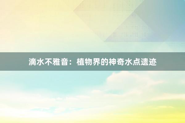 滴水不雅音：植物界的神奇水点遗迹