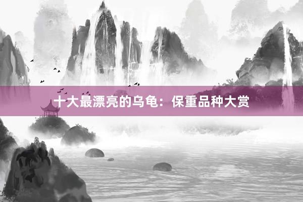 十大最漂亮的乌龟:保重品种大赏